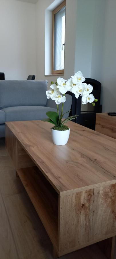 Duplex Apartment